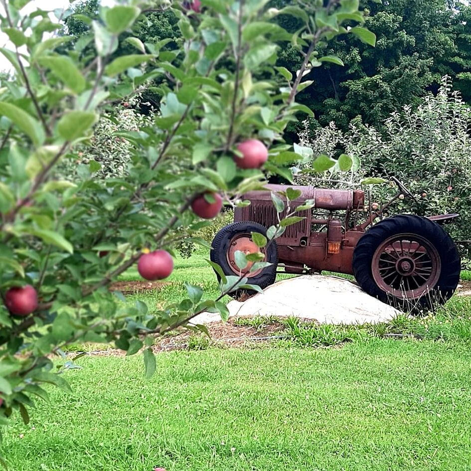 Parishville Center Orchard