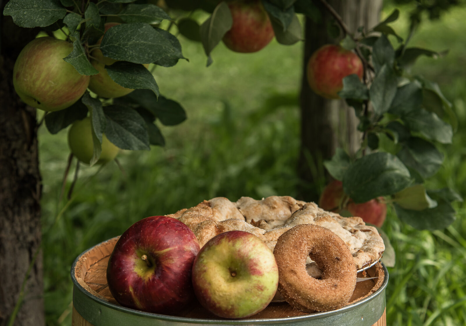 Applewood Orchards in St. Lawrence County, New York