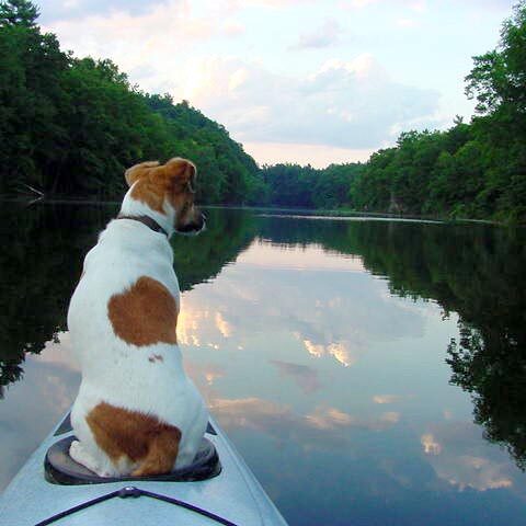 Kayaking with dog