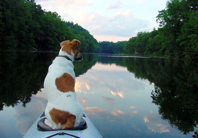 Kayaking with dog