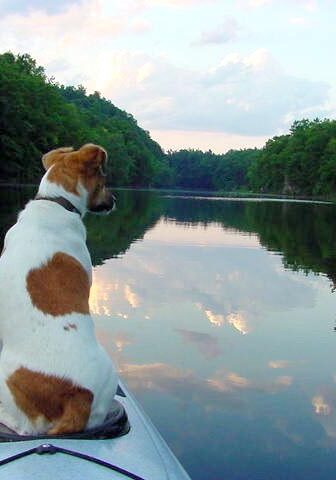 Kayaking with dog