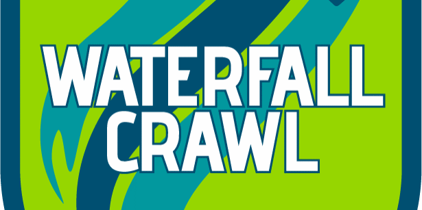 Great-8-WaterFall-Patch-Outlined-image_medium