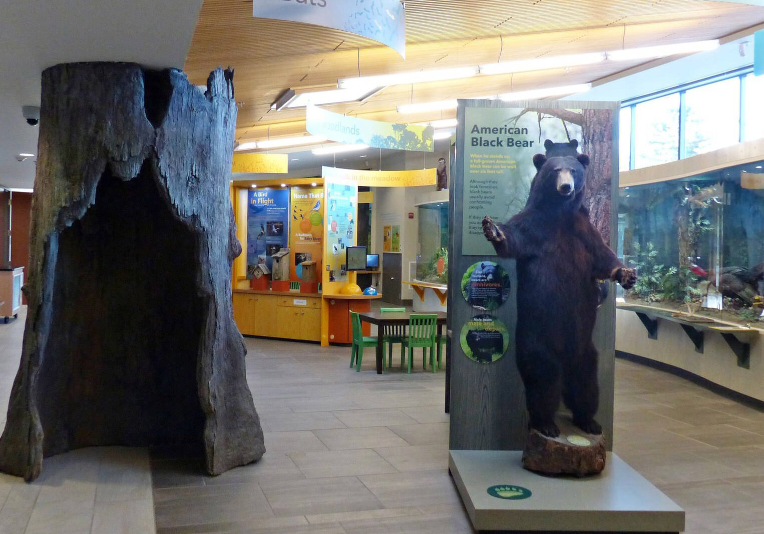Nicandri Nature Center in Massena, NY