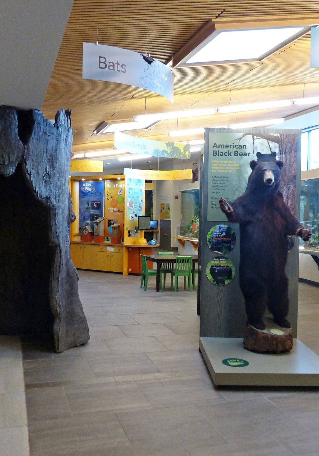 Nicandri Nature Center in Massena, NY