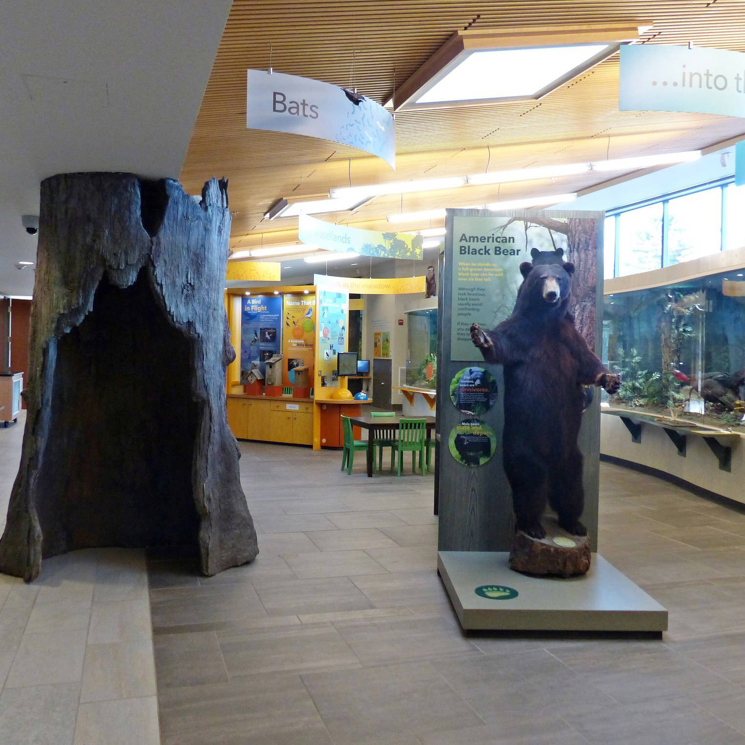 Nicandri Nature Center