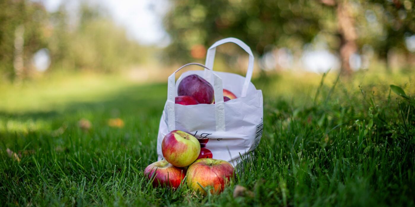ParishvilleCenterOrchard12