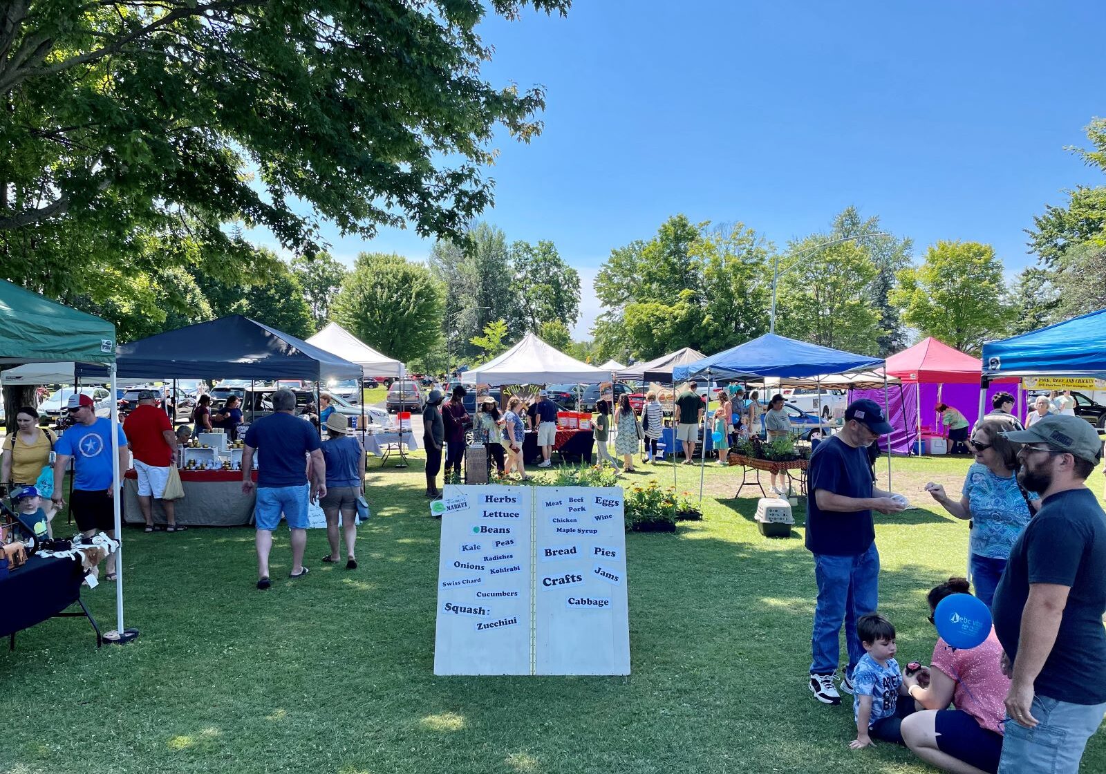 Farmers Market | Potsdam, NY
