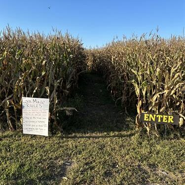 adon-farms-corn-maze