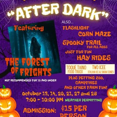 after-dark-haunted-forest