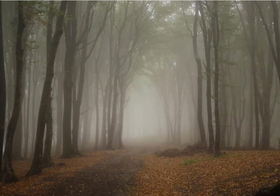 fall-spooky-st-lawrence-county1