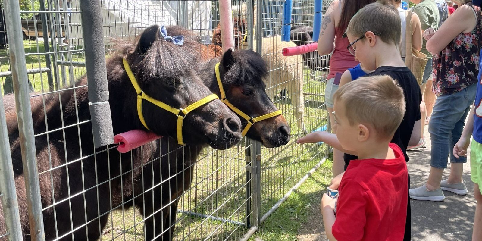 family-event-canton dairy festival-canton-ny