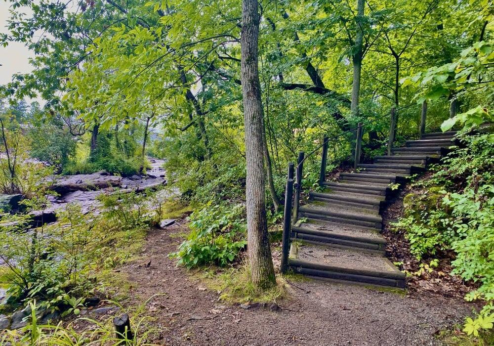 stairs and gravel trail along the cascade falls trail