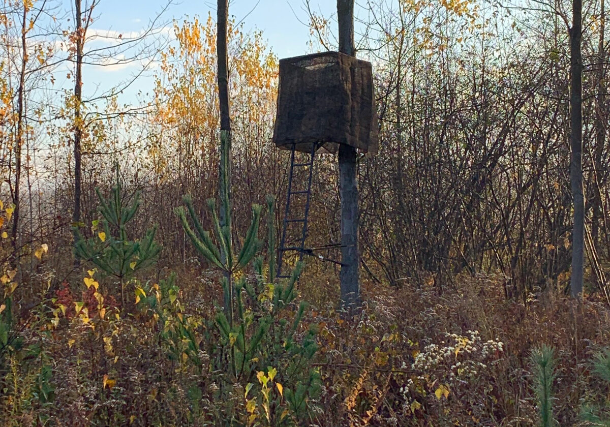 hunting-fall-n-amo1