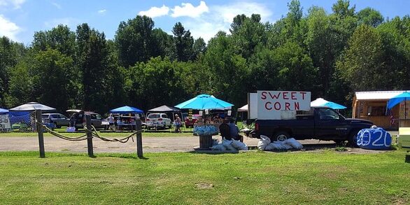 ogdensburg-farmers-market-summer-day1