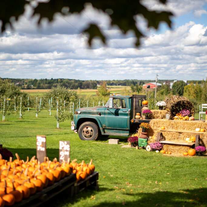 orchard-goodwins-orchard-potsdam-fall12