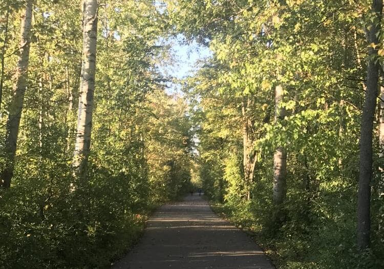view of the remington trail paved path through the trees