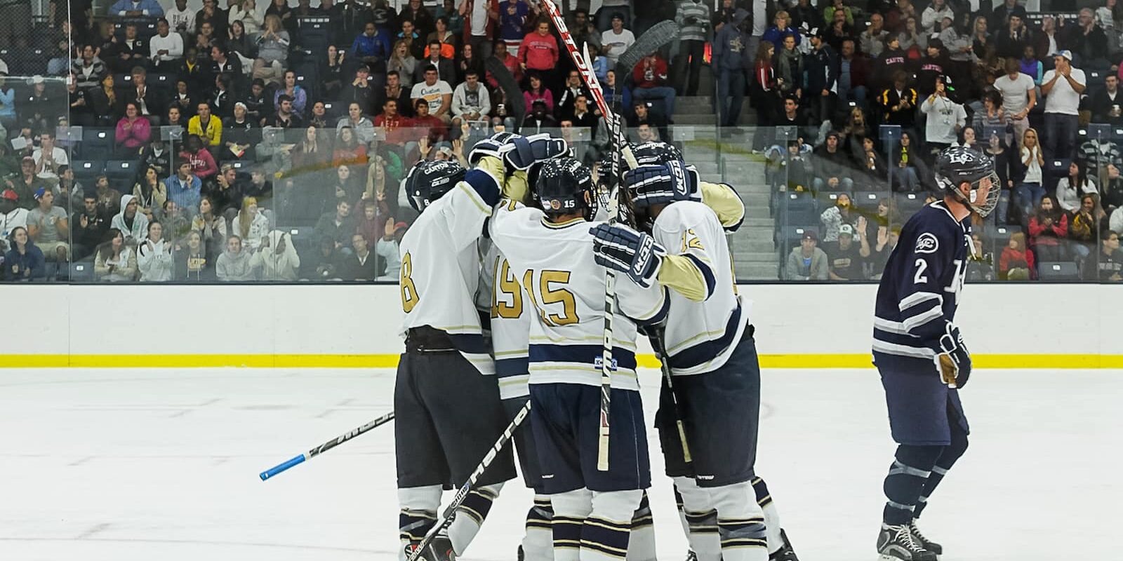 roos-house-canton-ice-rink1