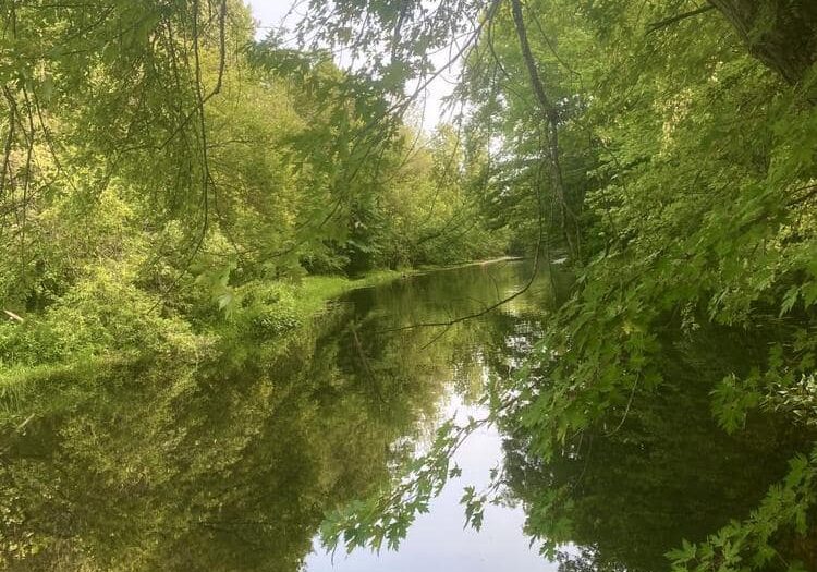 view of the river along the susan ferguson trail