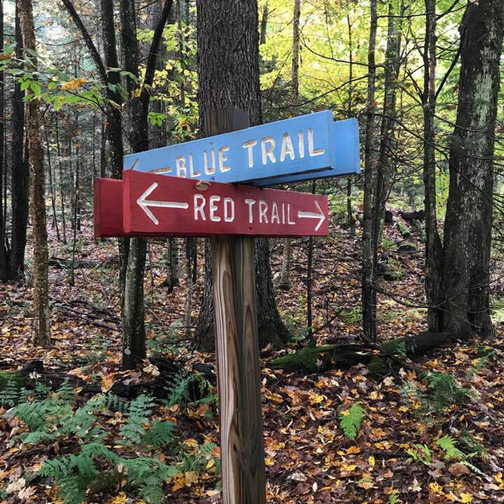 trails-catamount-hiking-south-colton-fall-v-white-2