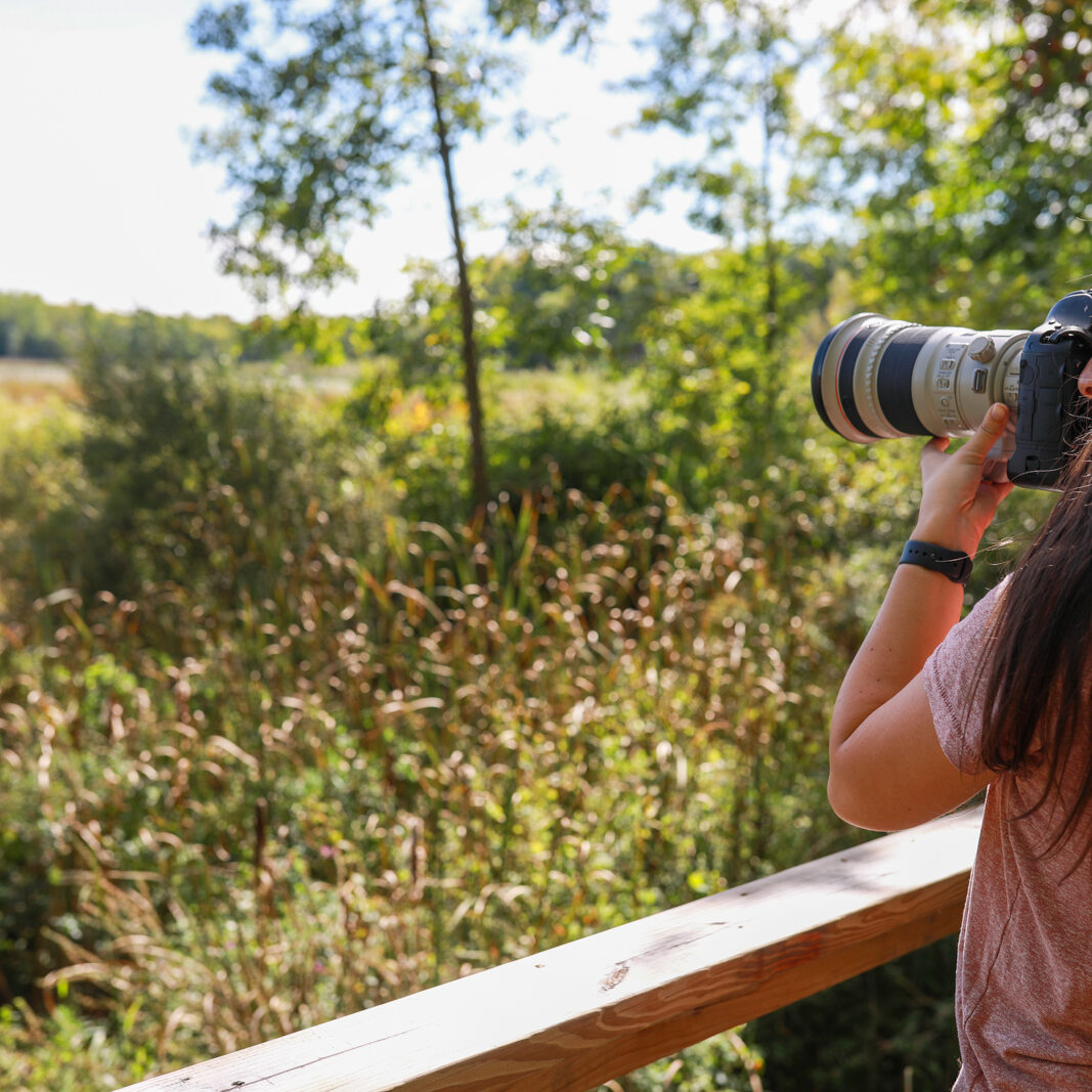 trails-red-barn-preserve-morristown-summer1