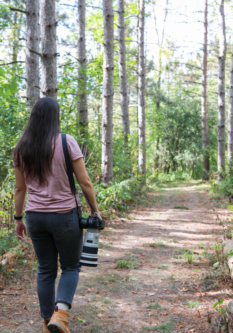 trails-red-barn-preserve-morristown-summer3
