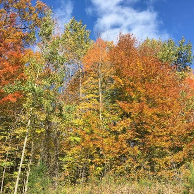 Red Sandstone Trail, southern end of Sugar Island, Potsdam, NY.