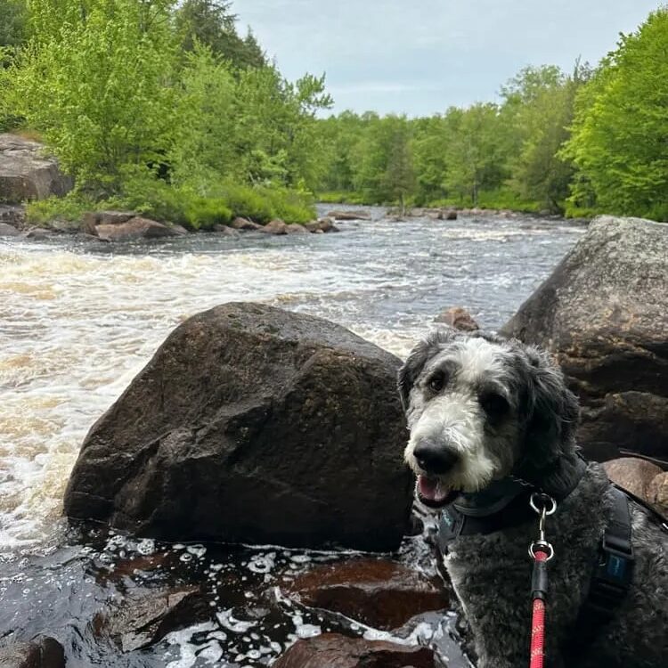 waterfall-sinclair-falls-stlc-trails-e-doud